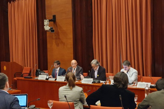 Oliu comissió 155   Carlota Serra