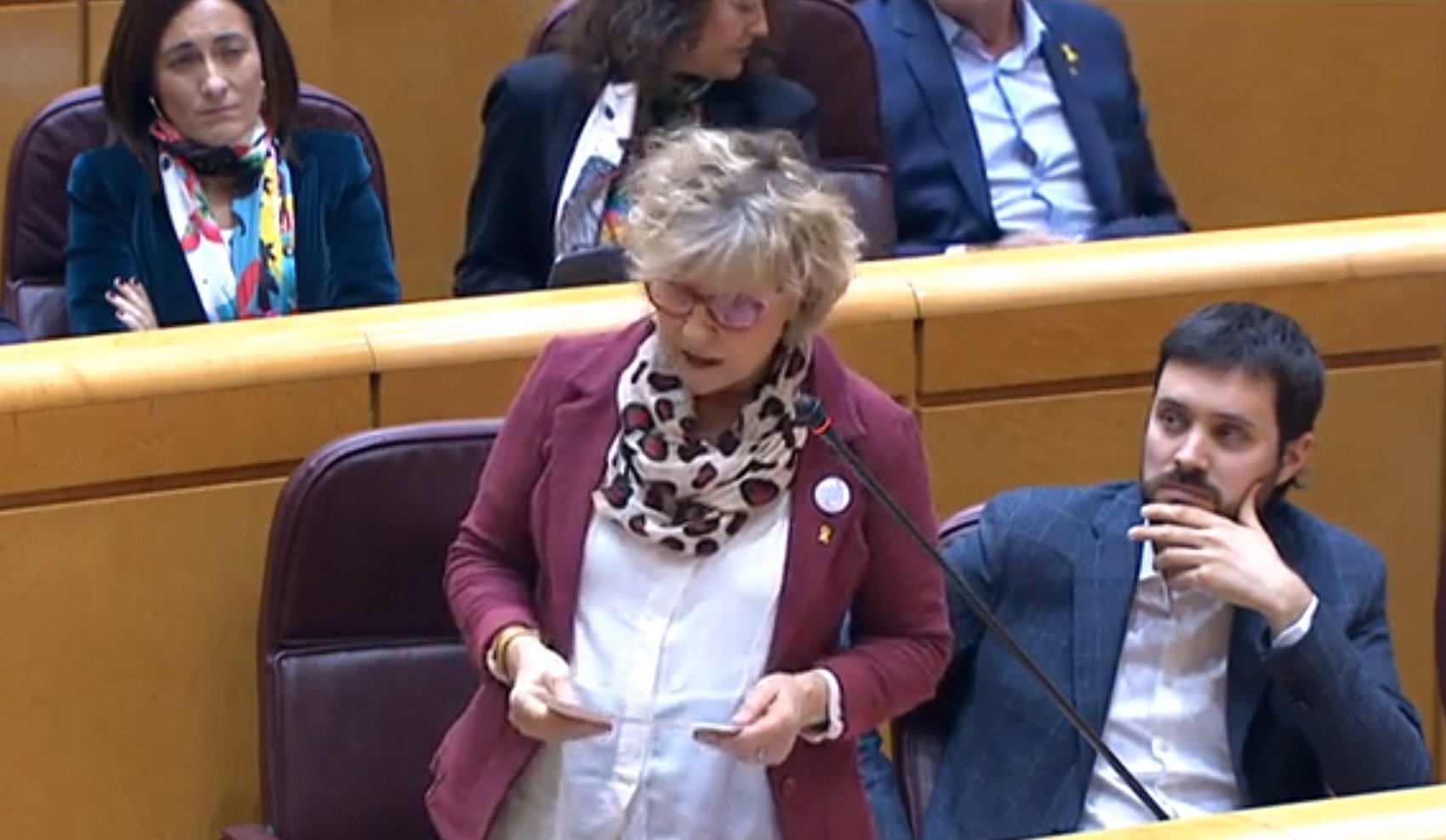 mirella cortes erc