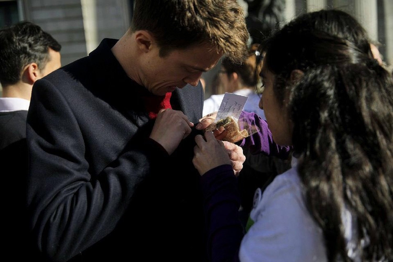 La marihuana entra al Congrés: demanen als diputats que legalitzin aquesta droga