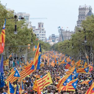 diada 2017 estelades - laura gómez