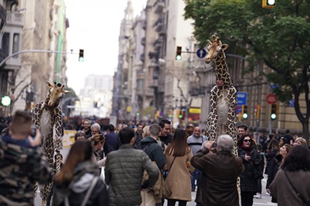 obrim carrers - barcelona.cat
