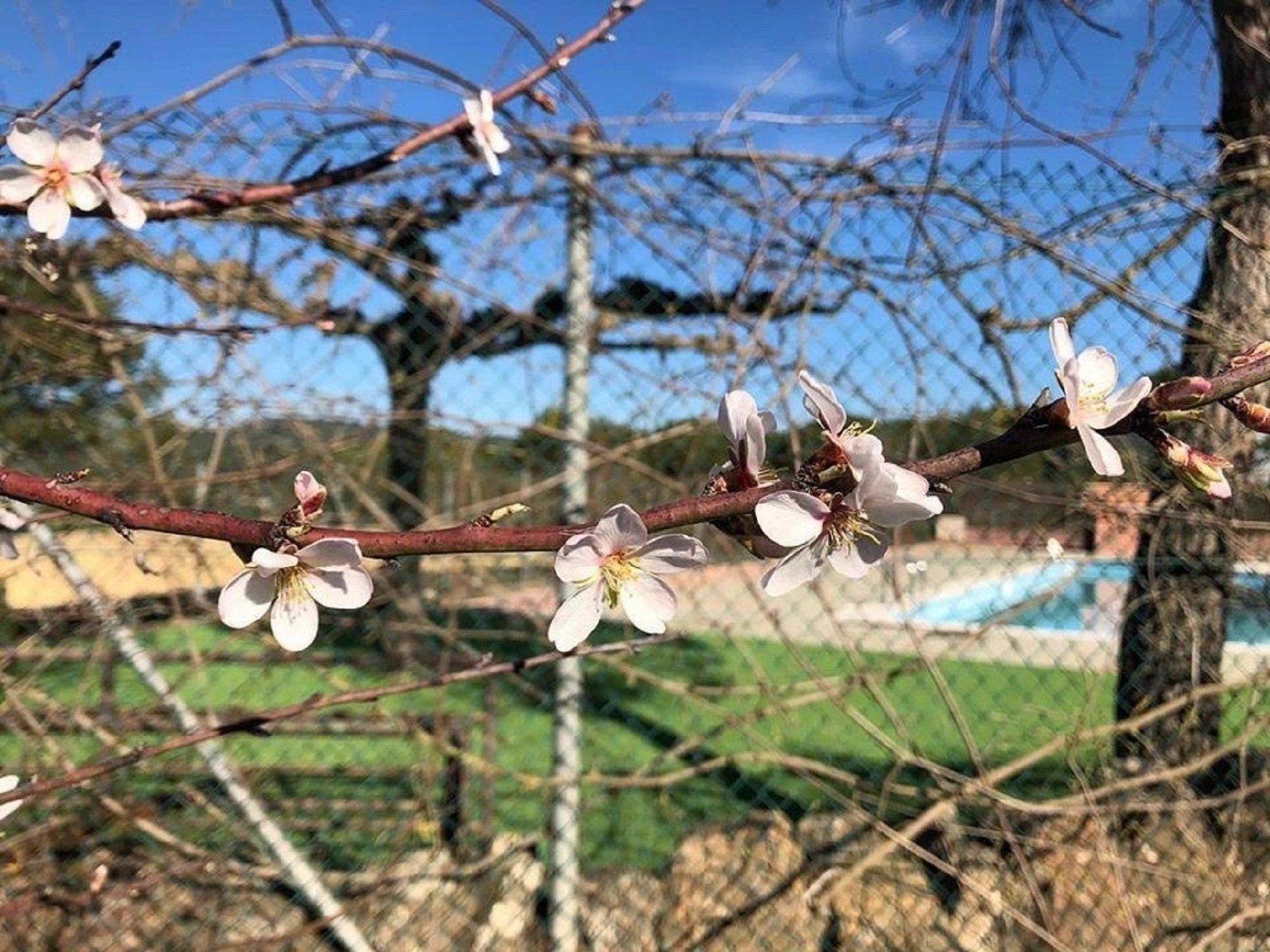 El Servei Meteorològic de Catalunya i la UAB estudiaran el canvi climàtic