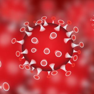 Coronavirus Coronavirus