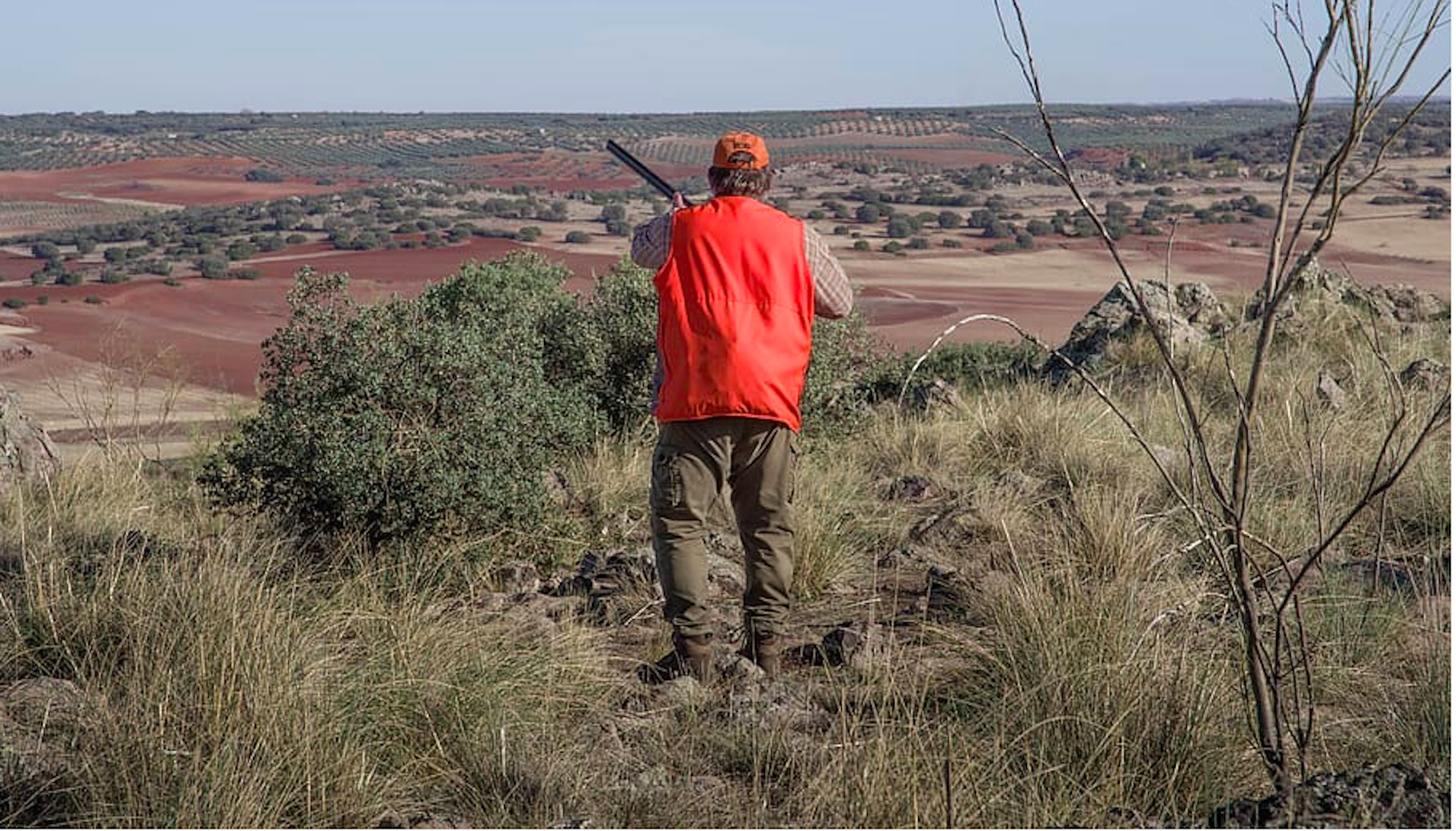 Conoravirus | Greu imprudència a Castella-Lleó: autoritzen caçar en petits grups