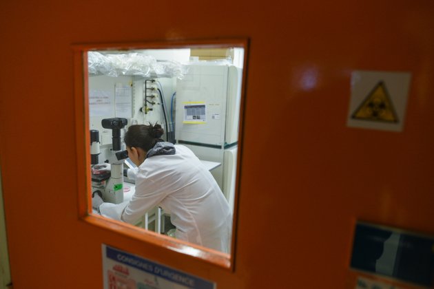 laboratori Paris França cientifics coronavirus - Europa Press