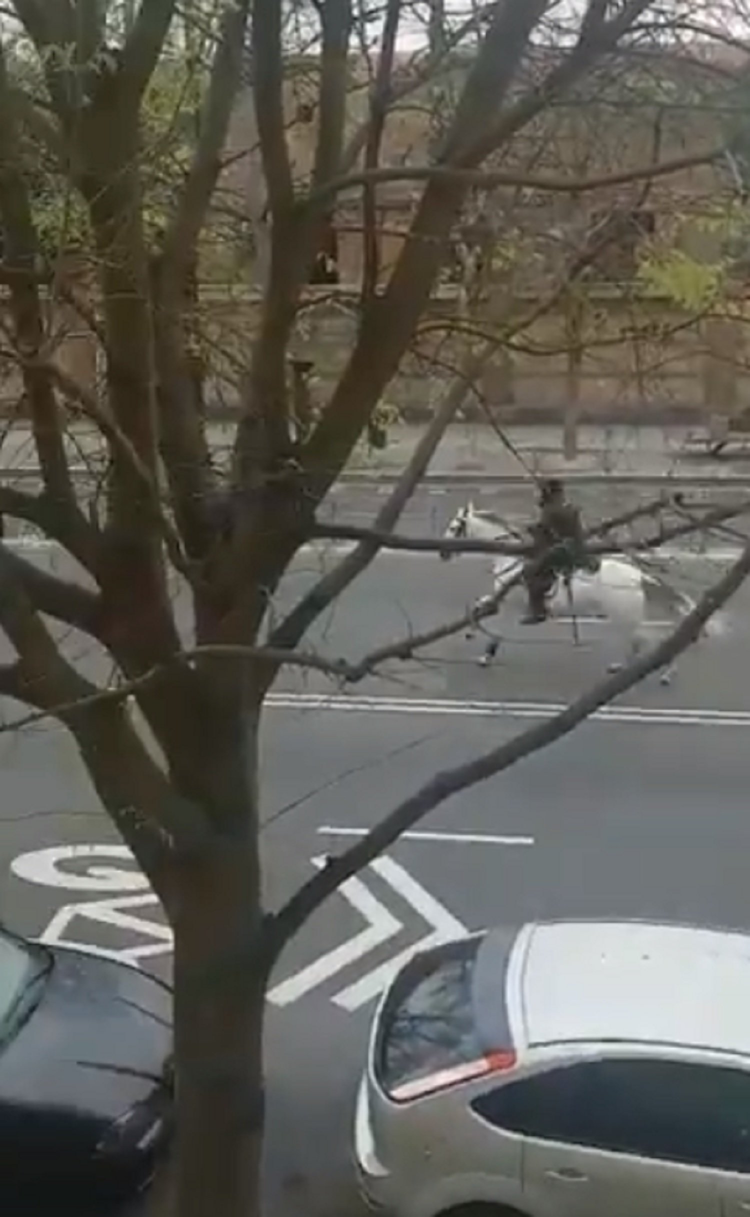 Coronavirus| Persecución de un policía montado a caballo a un ciclista que no hace caso