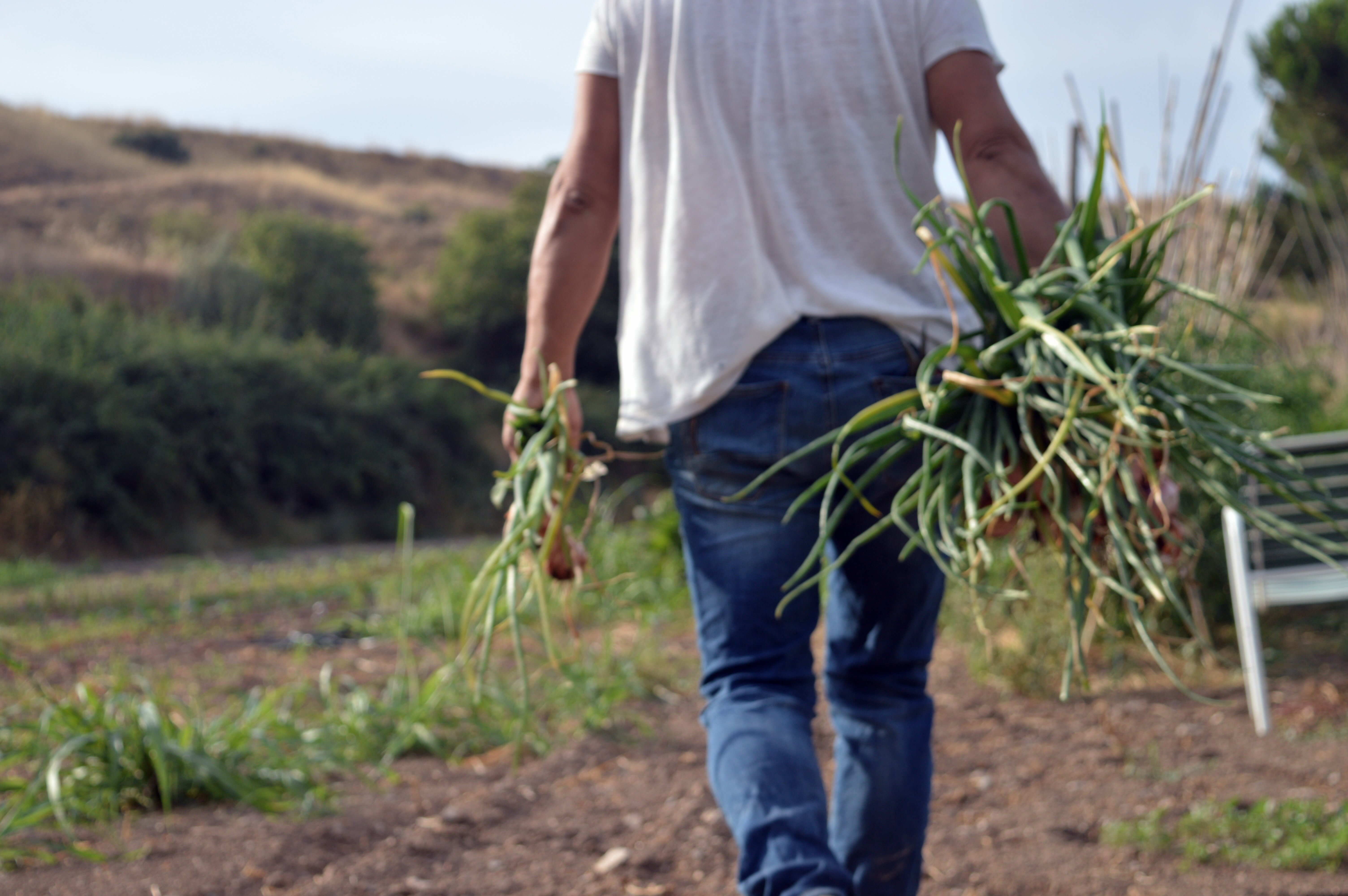 ¿Qué efectos tendrá la reducción de la agricultura en Catalunya?