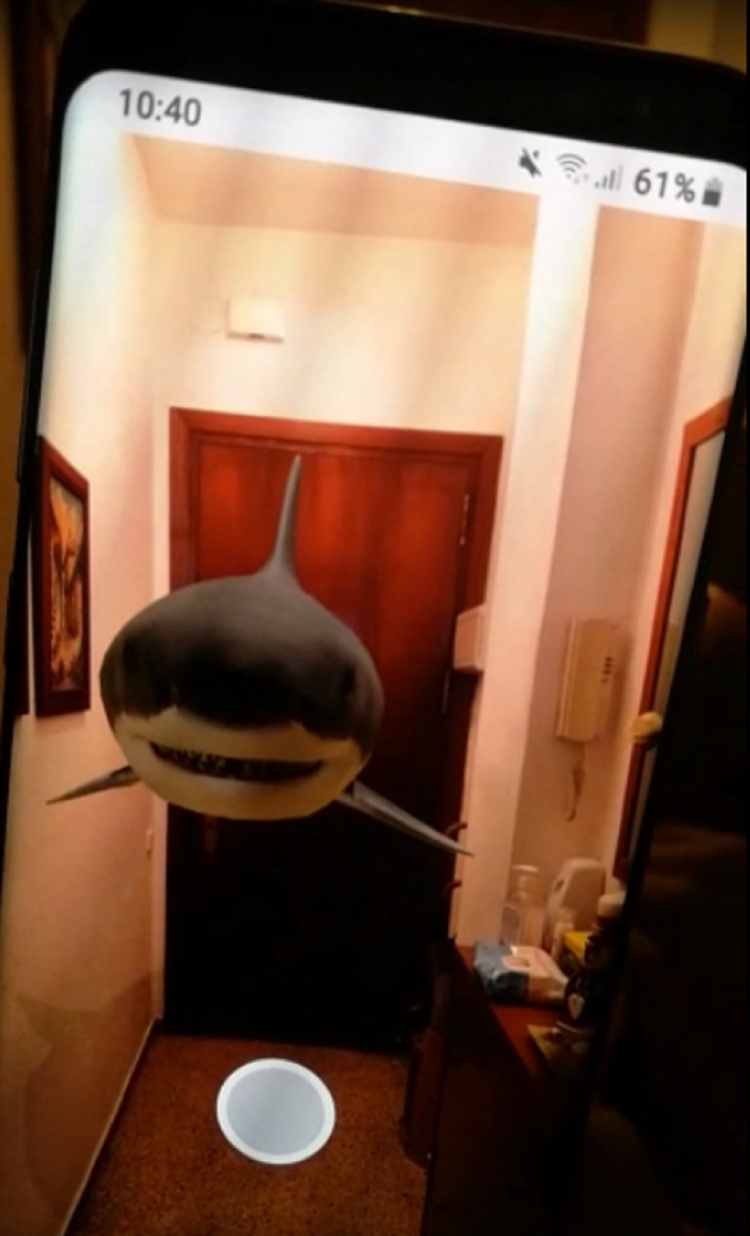 CORONAVIRUS | El nuevo reto viral para pasar el confinamiento: un tiburón en casa