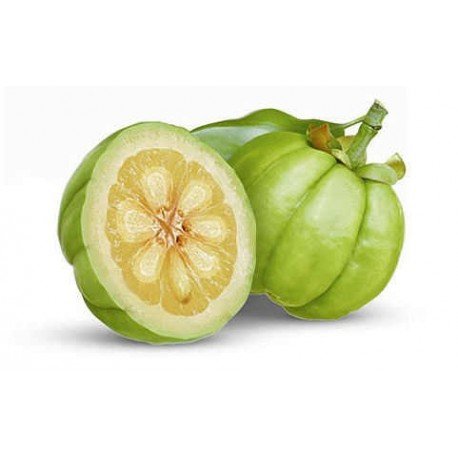 Garcinia cambogia