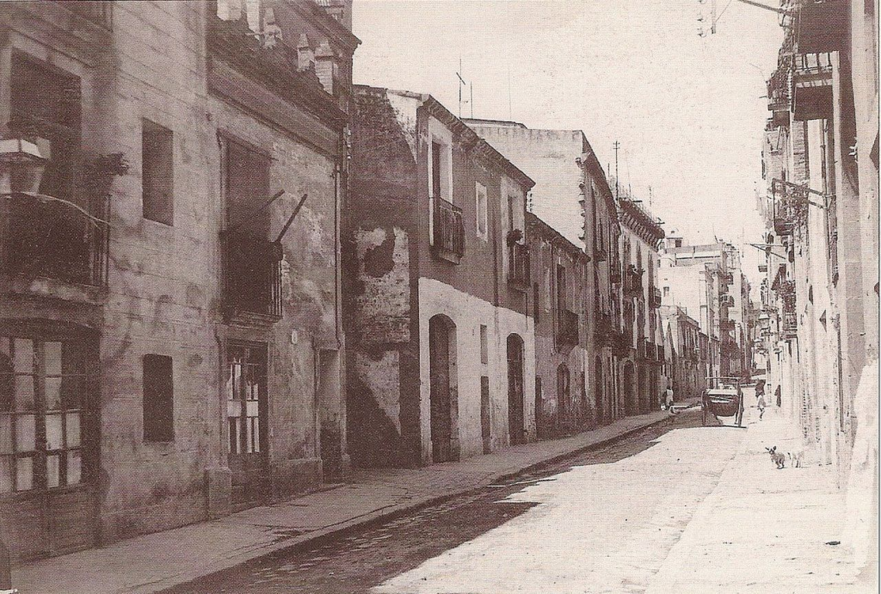 Denuncien l'existència d'una epidèmia de ràbia