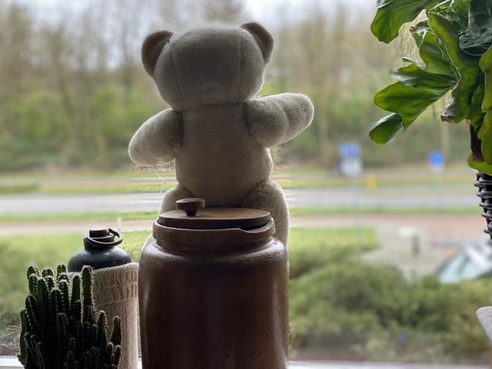 Ossets de peluix a les finestres per amenitzar el confinament dels més petits