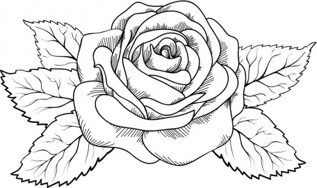 Featured image of post Dibujos De Rosas Faciles Y Bonitas Corazon de rosas para ti