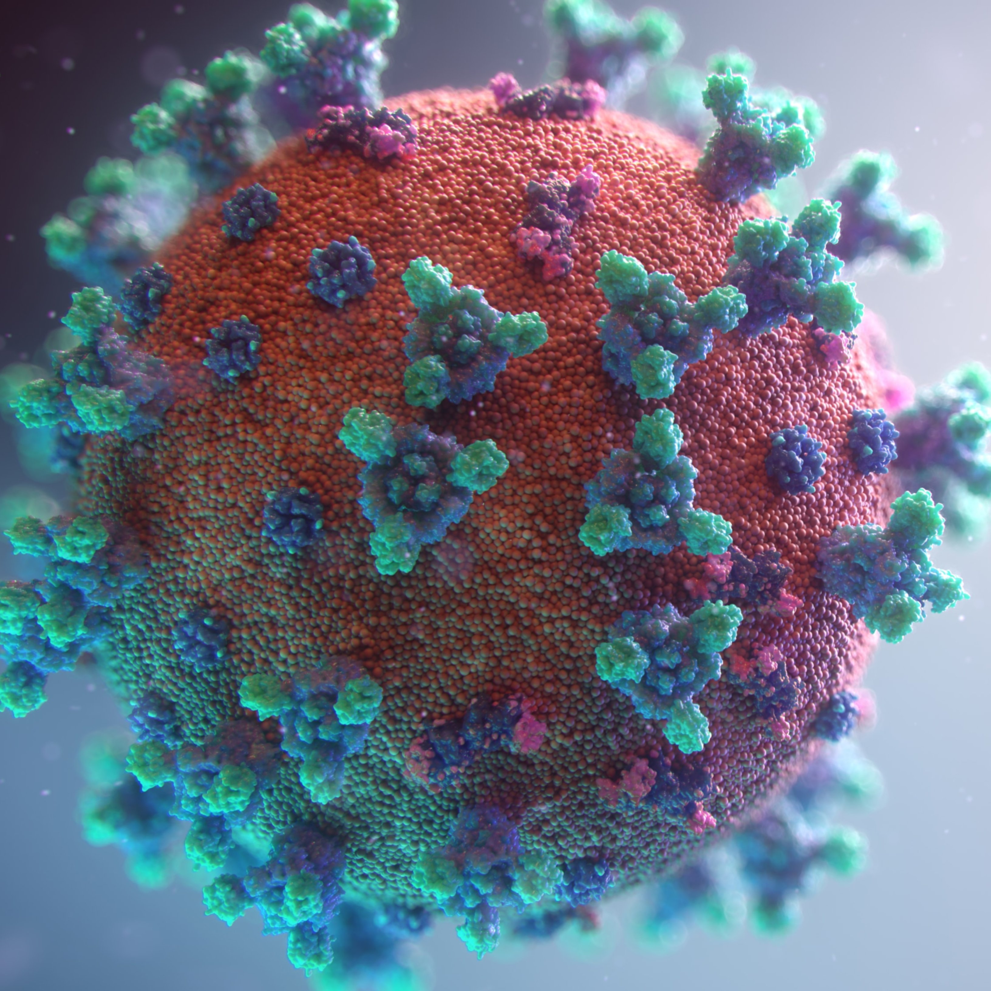 Estudios ya confirman que hay grupos de riesgo al enfrentarse al coronavirus