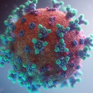 Coronavirus Unsplash