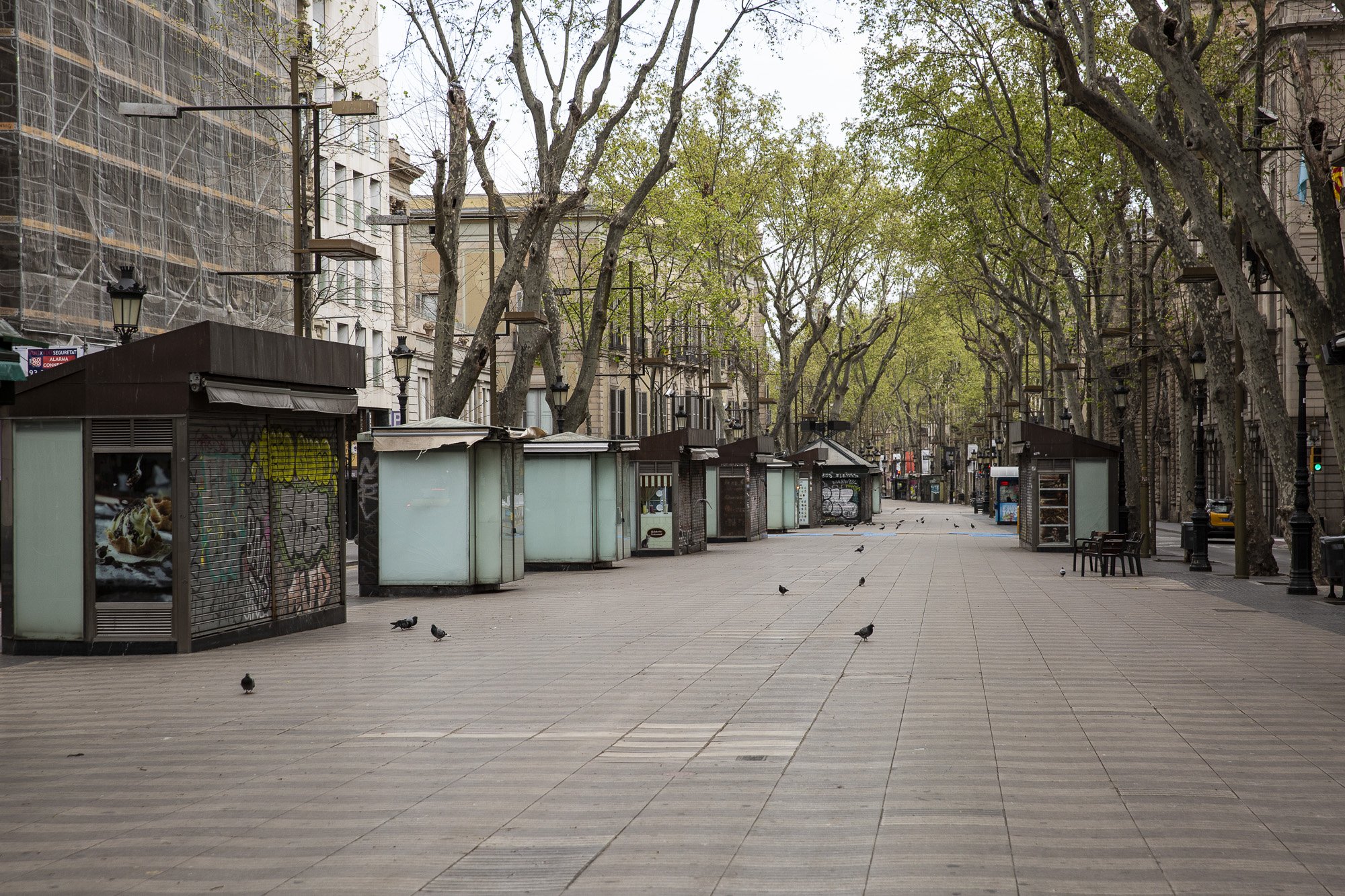 Espanya: autonomies i ciutats en estat d'alarma, confinaments i restriccions
