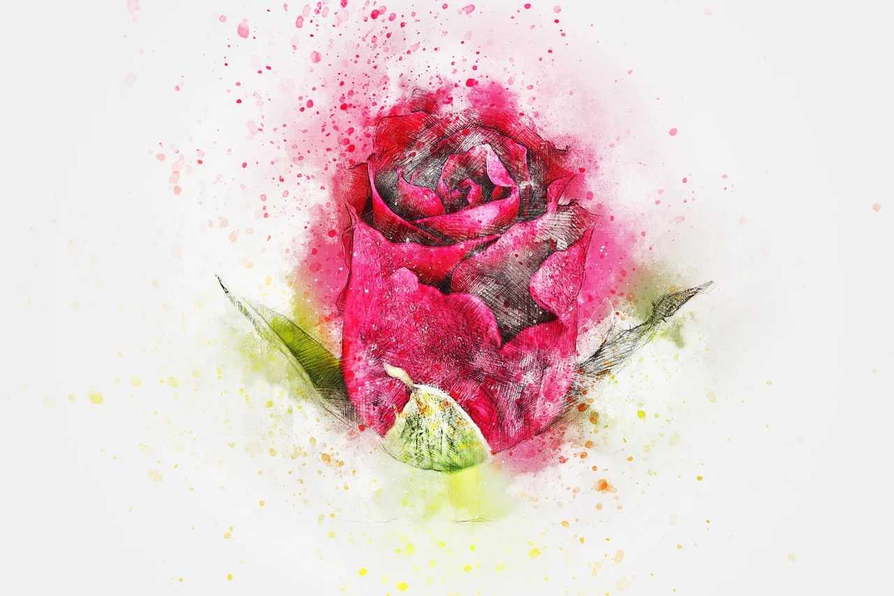 Featured image of post Faciles Rosas Imagenes Para Dibujar A Lapiz Dibujar una rosa es algo muy complicado si se quiere hacer bien y con detalle