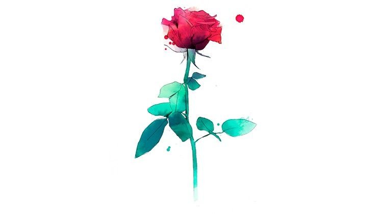 rosa conrad roset