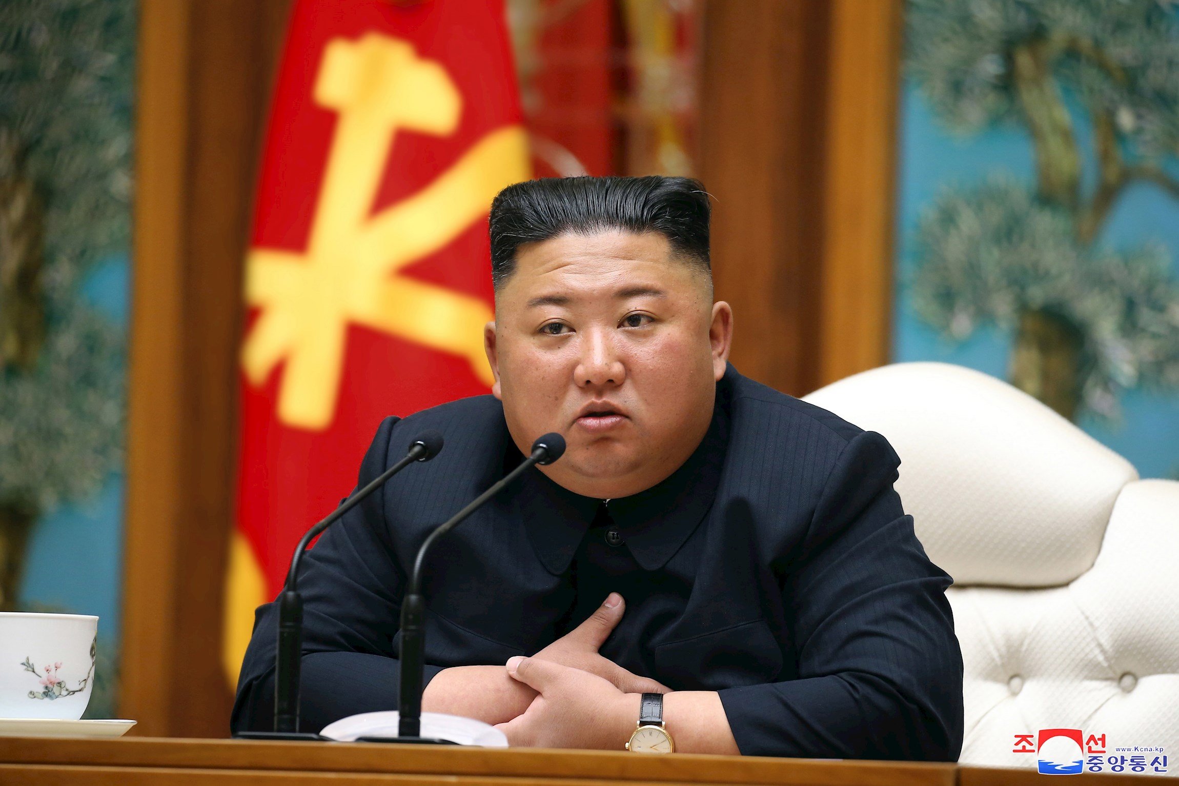 Seúl resta credibilidad al supuesto estado grave de Kim Jong-un