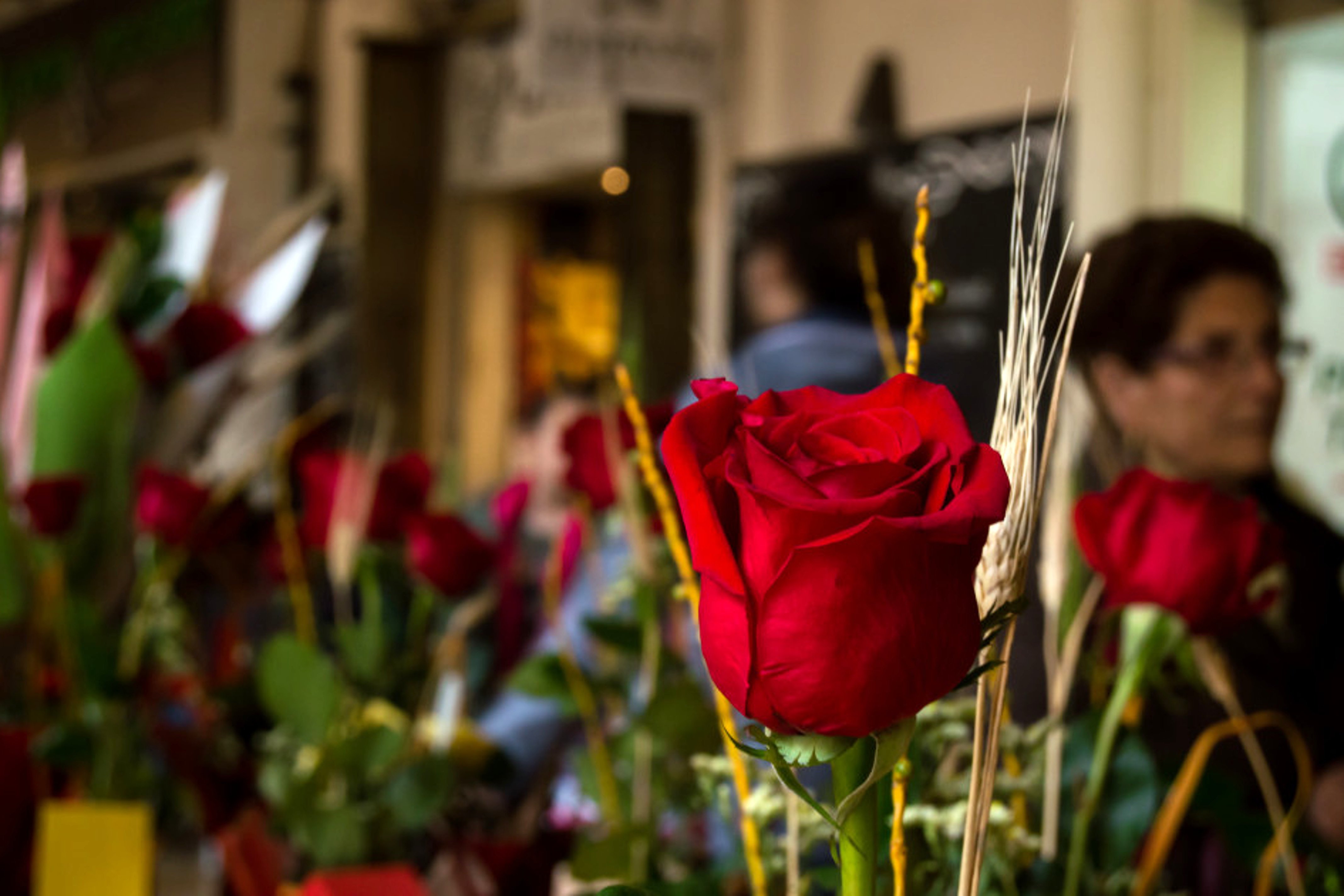 El Sant Jordi del coronavirus: propostes per a una diada excepcional