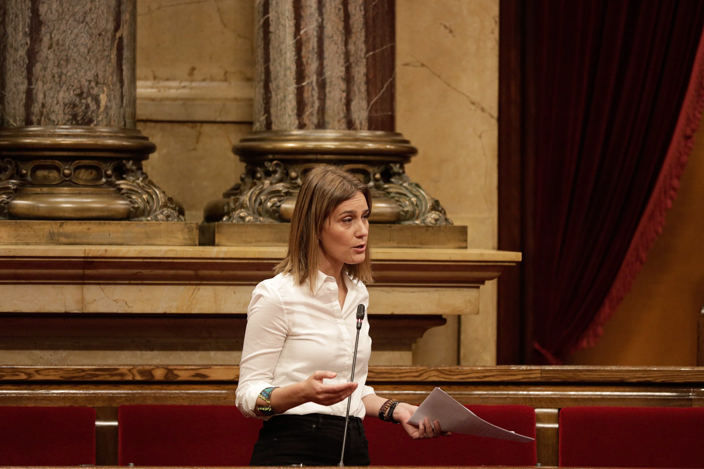 Els comuns critiquen que part de l'independentisme s'ha aficionat a insultar-los