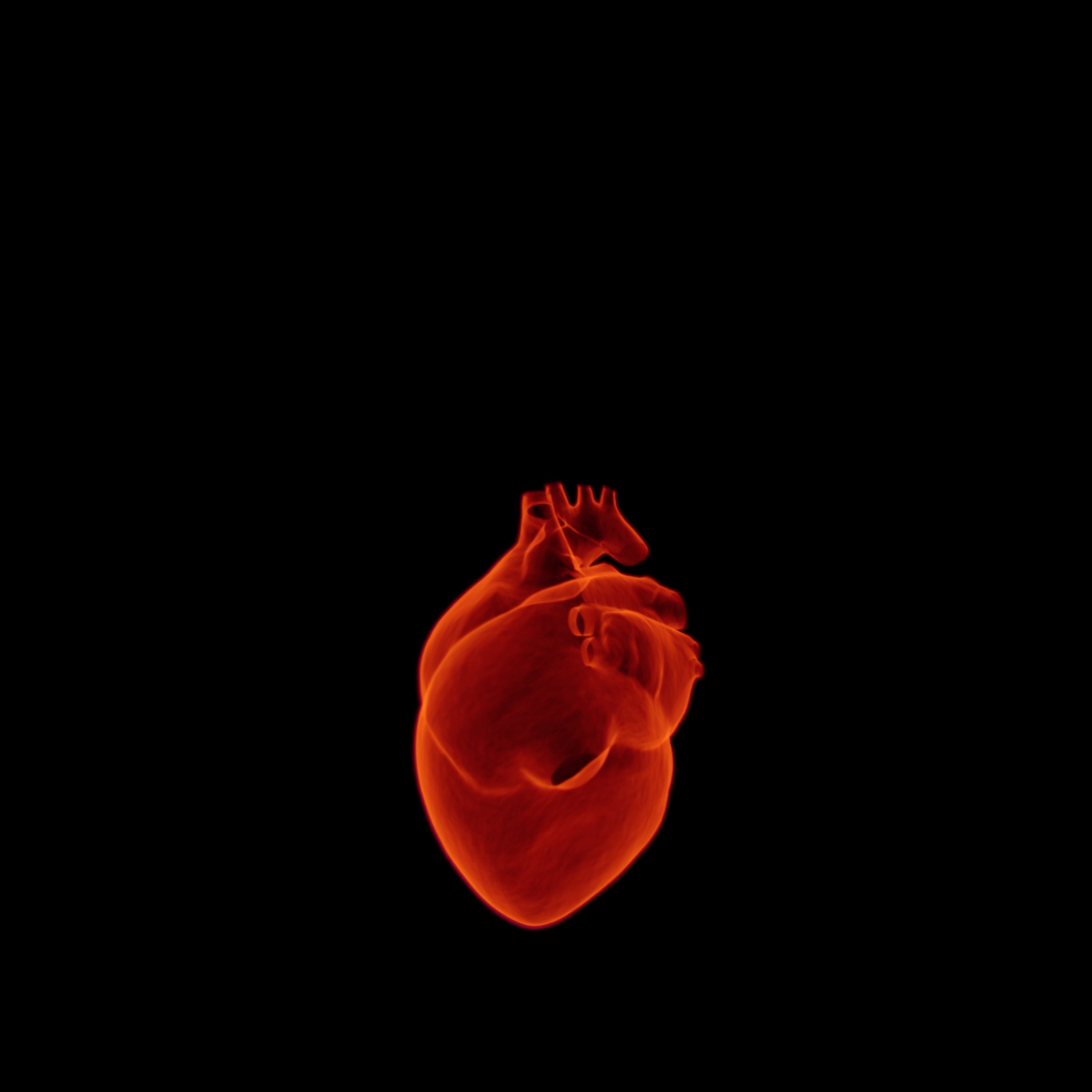 Per què has de fer exercici si has patit un atac al cor