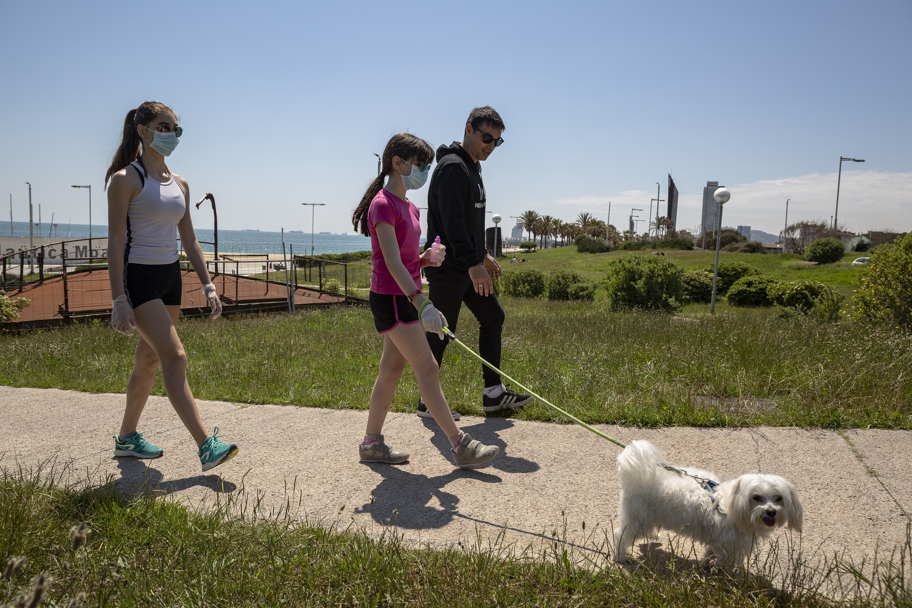 Els animals ja són "éssers que senten" en el Codi Civil