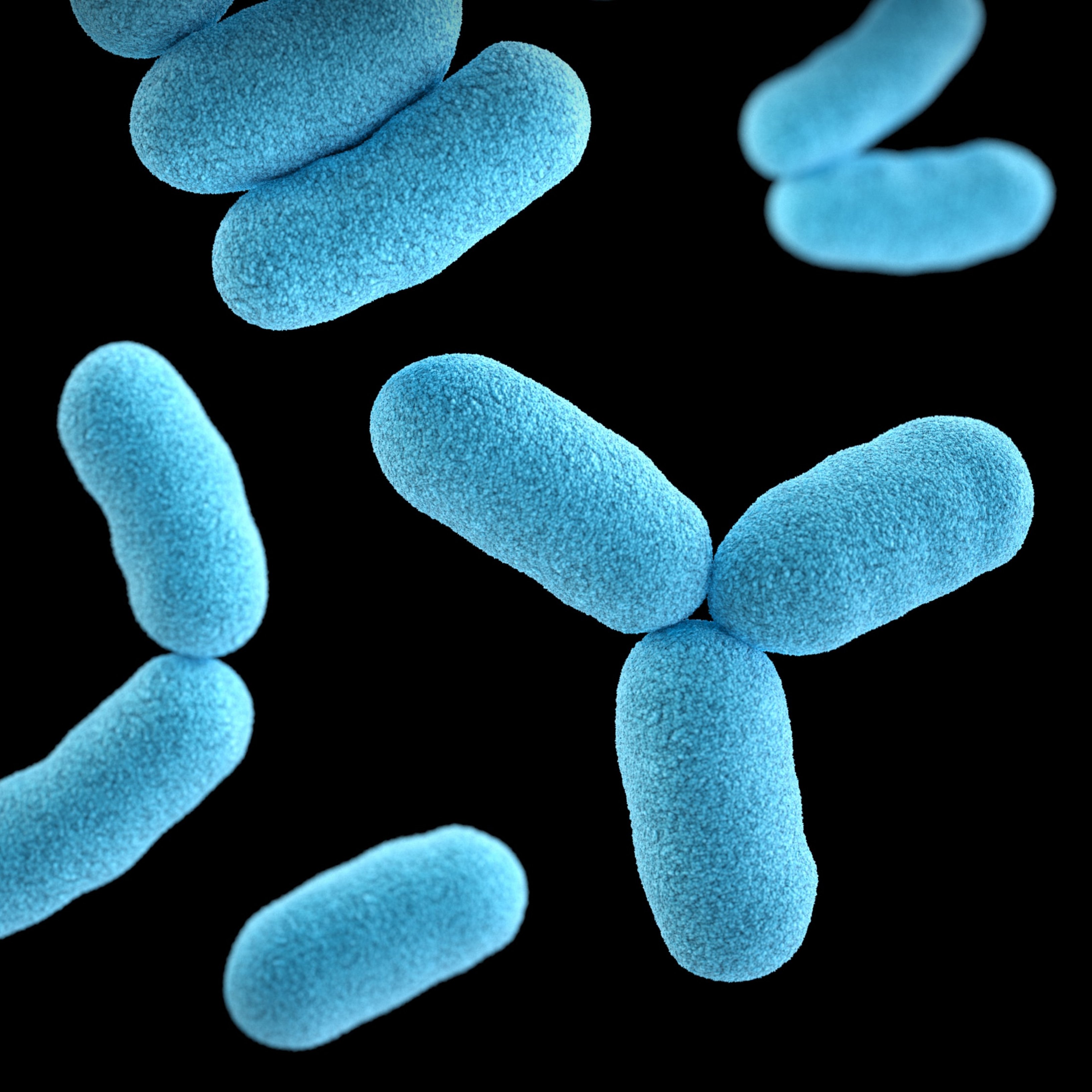 ¿Hay relación entre las infecciones bacterianas y el cáncer de colon?