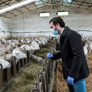 pablo casado ramat bens efe pablo casado ramat bens efe