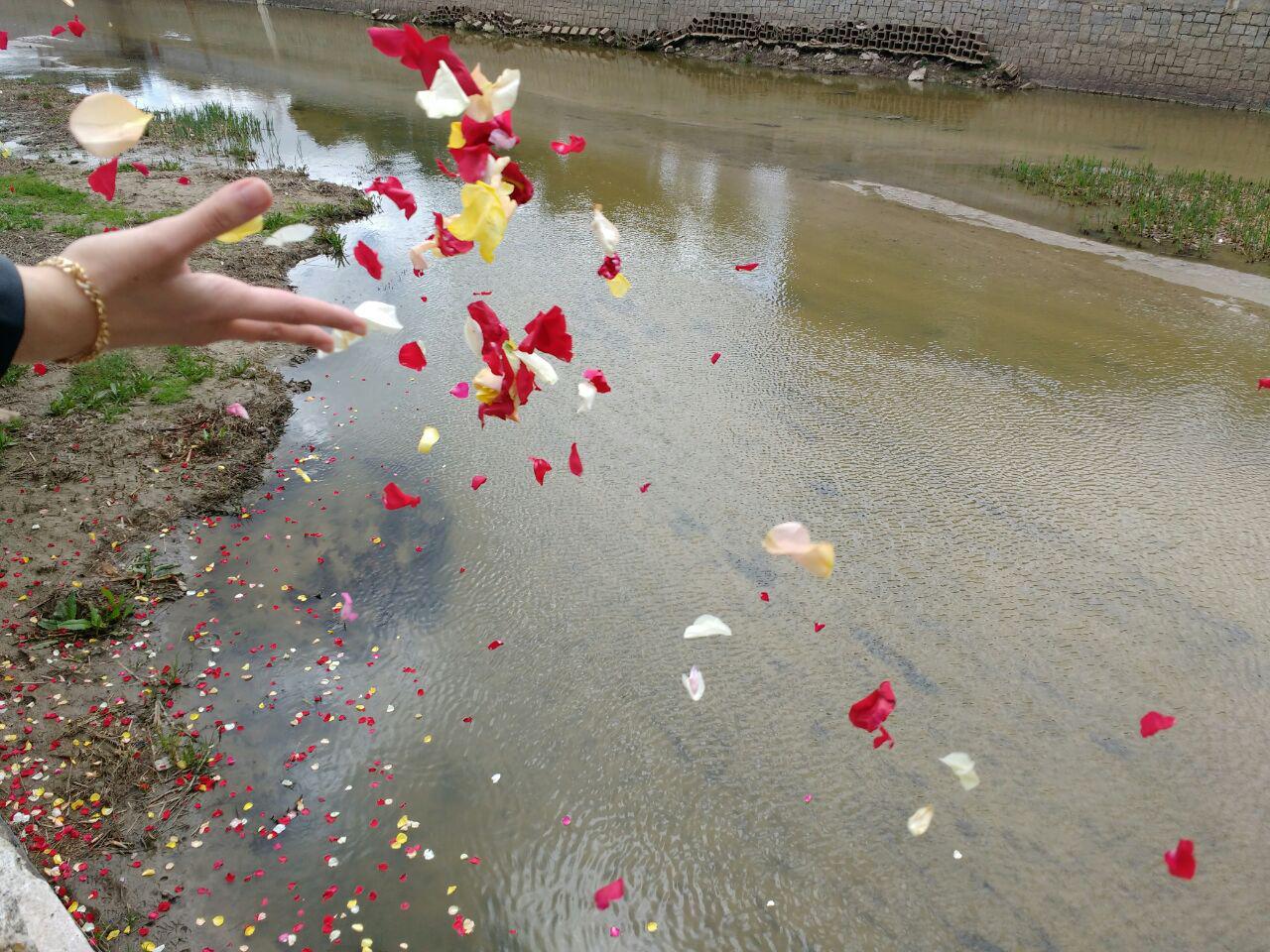 ríe costumbres gitanas celebracio petals Wikipedia