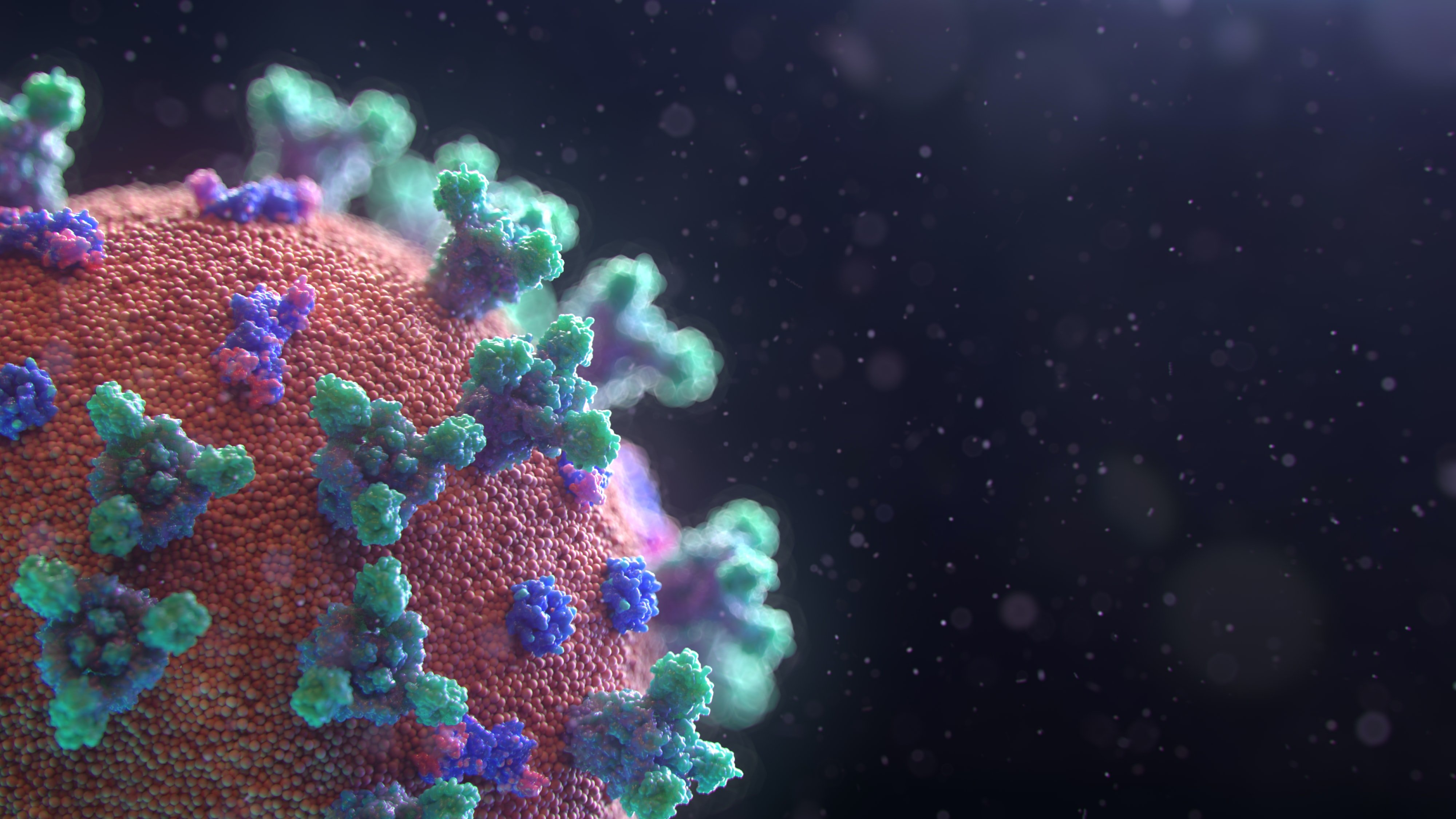 El coronavirus podría "no desaparecer nunca", según un responsable de la OMS