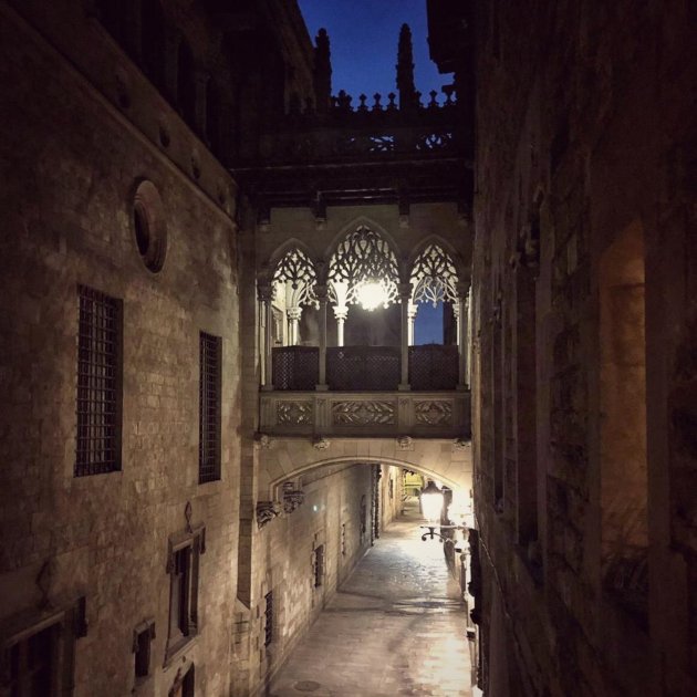 Casa Canonges Generalitat coronavirus  Quim Torra