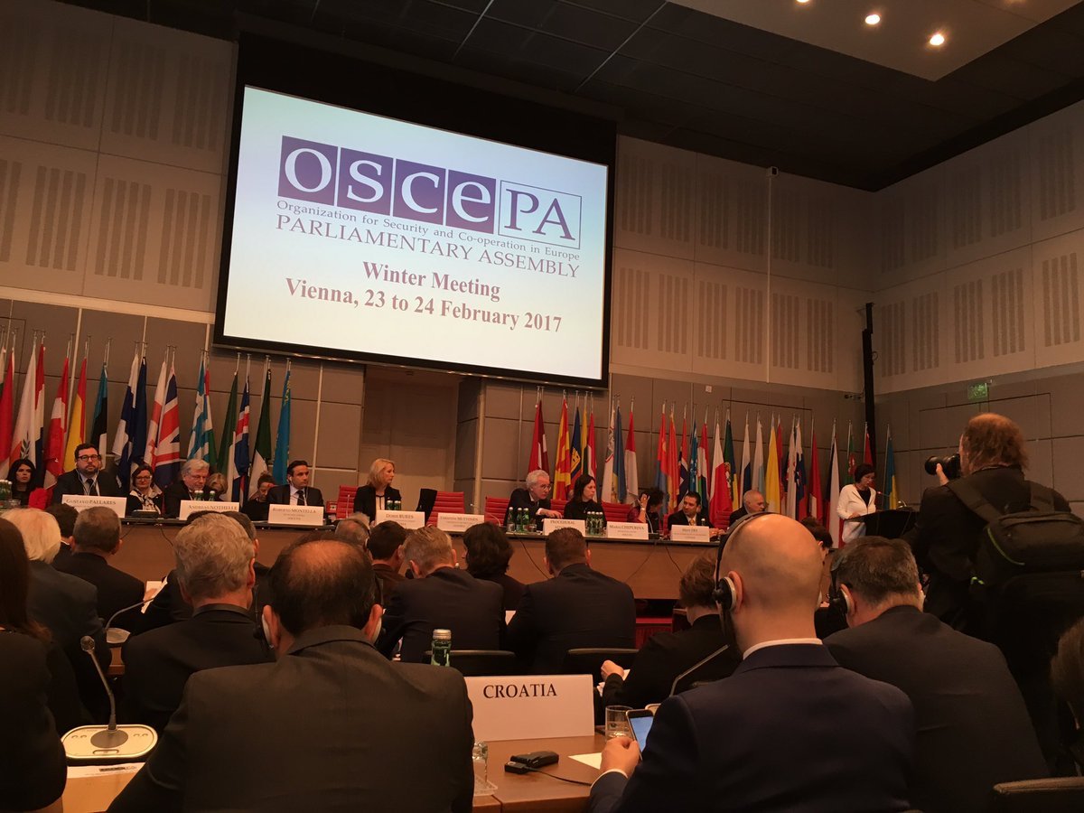 Una senadora critica Espanya a l'OSCE per la judicialització del procés