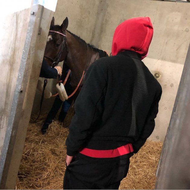 Griezmann caballo @antogriezmann