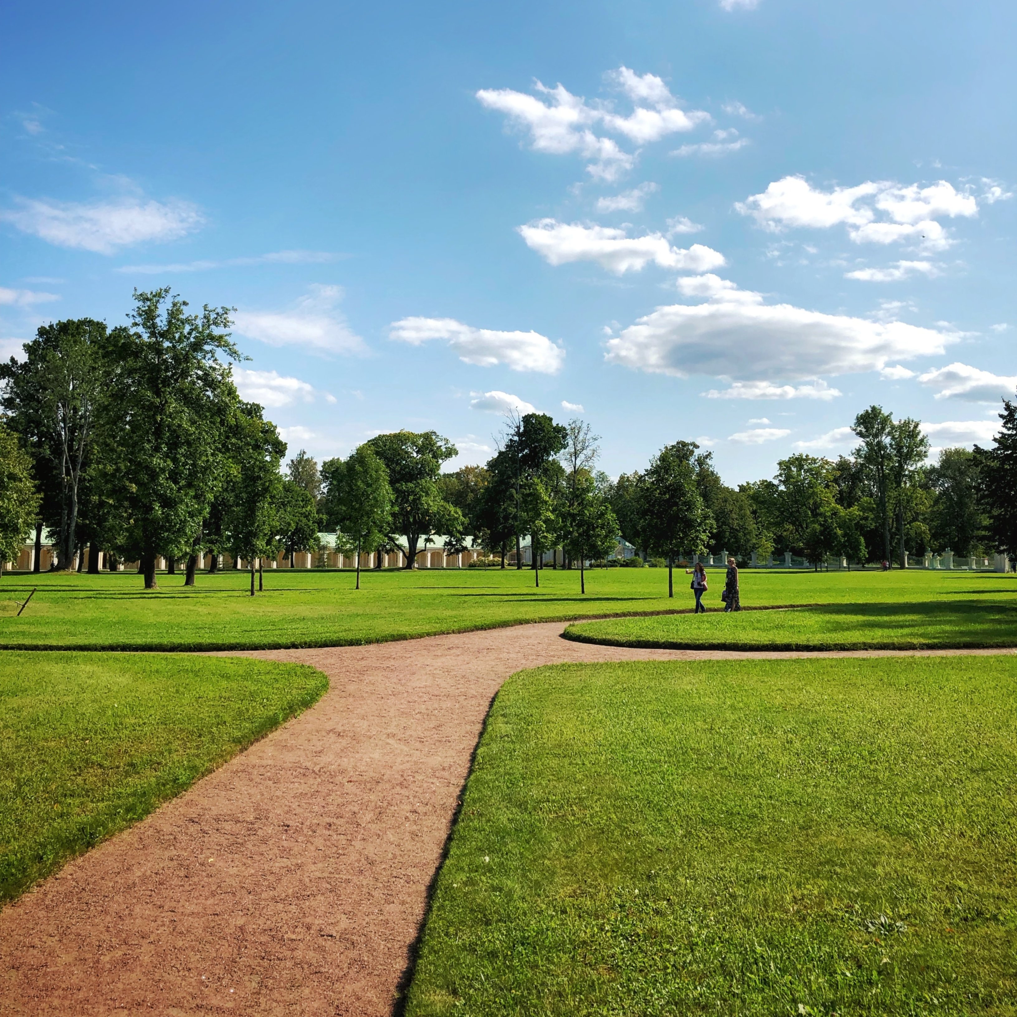 Estas son las razones por las que debes ir a un parque