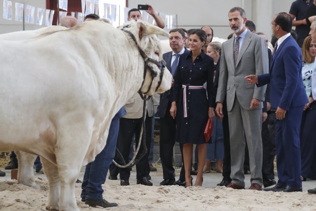 reyes y una vaca o toro gtres