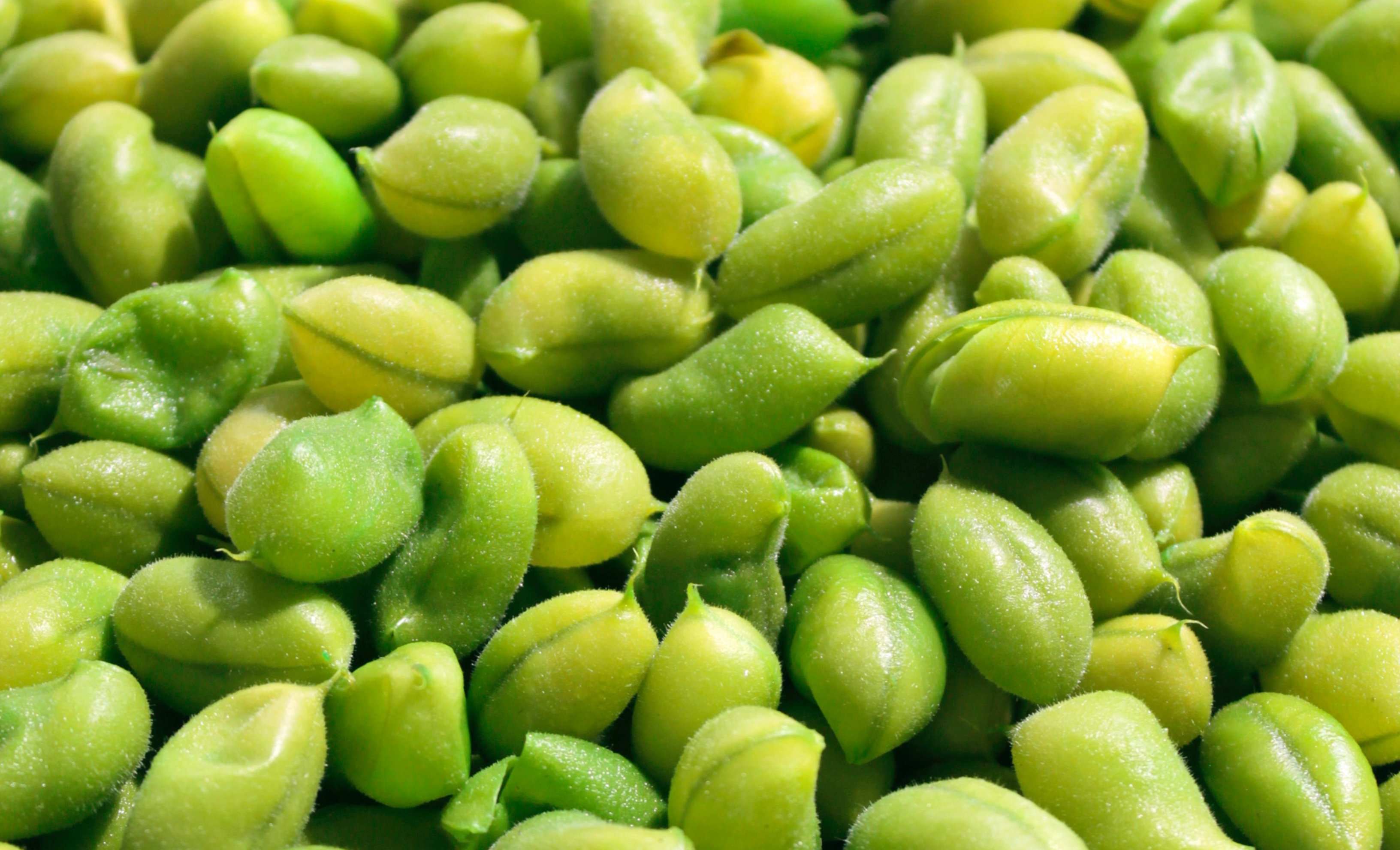 Edamame