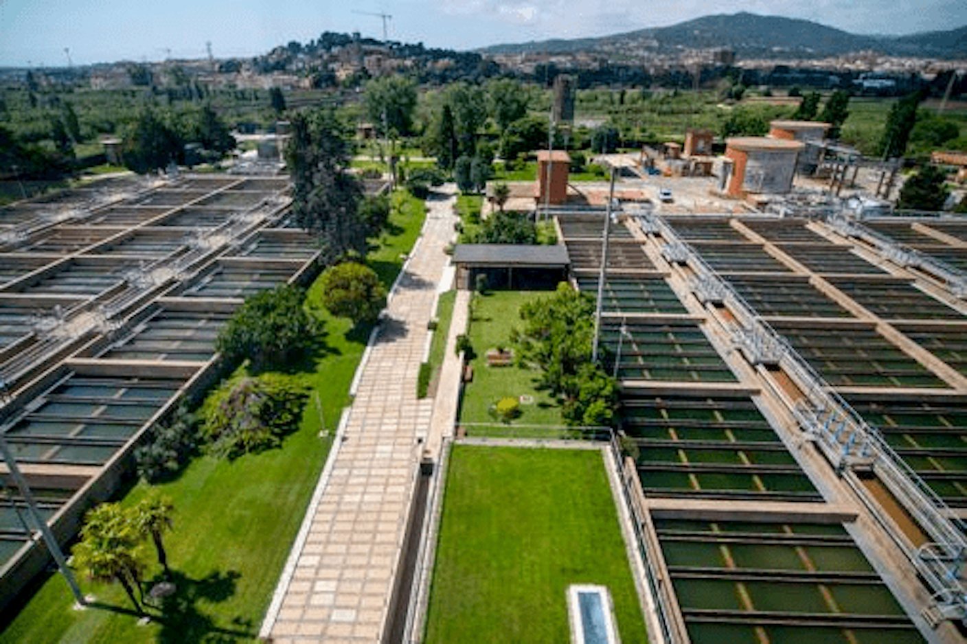 Guardians de la biodiversitat