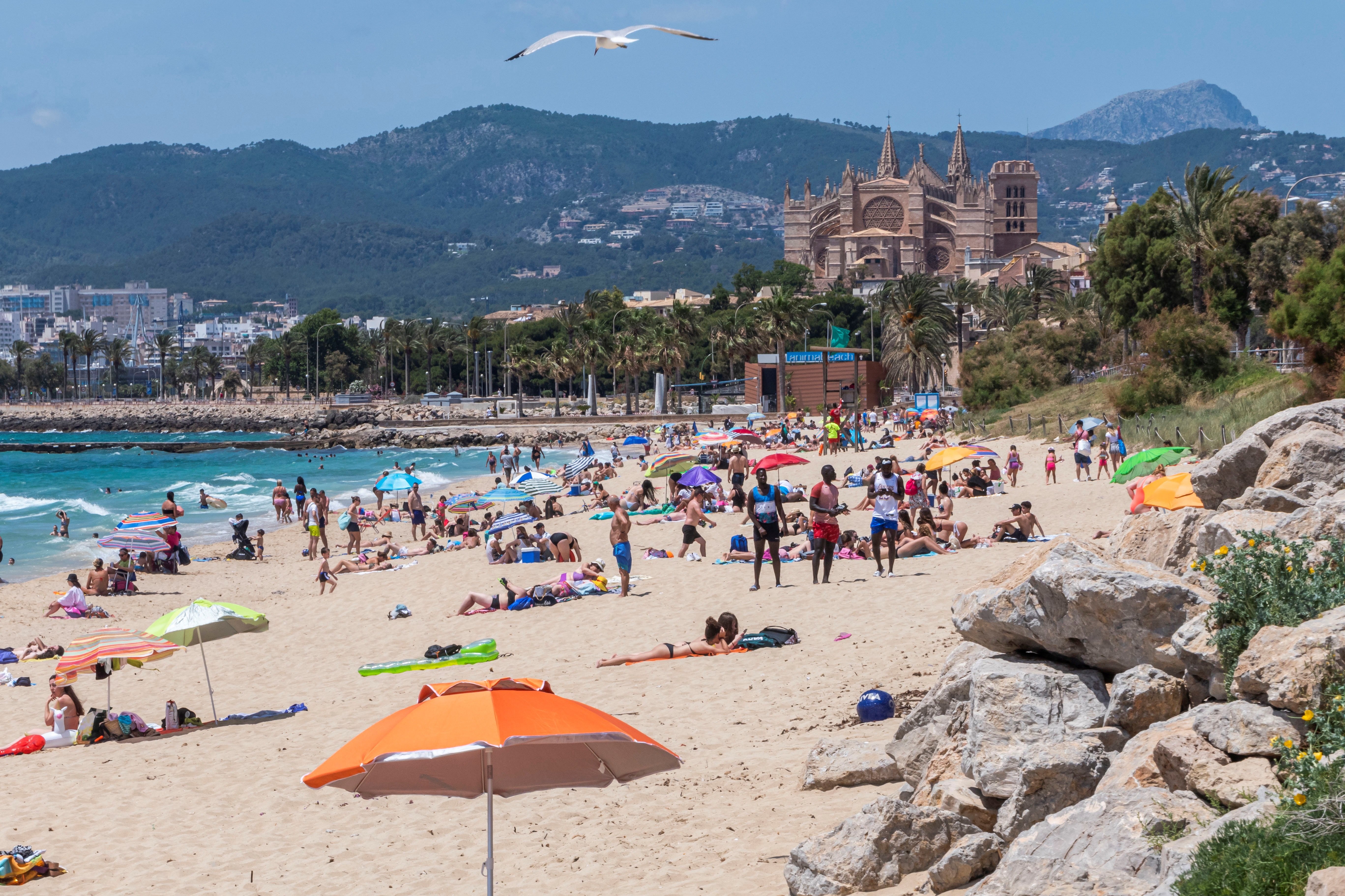 Un tiktoker al·lucina amb el poc ús del català a les Illes: "Això també és culpa nostra"