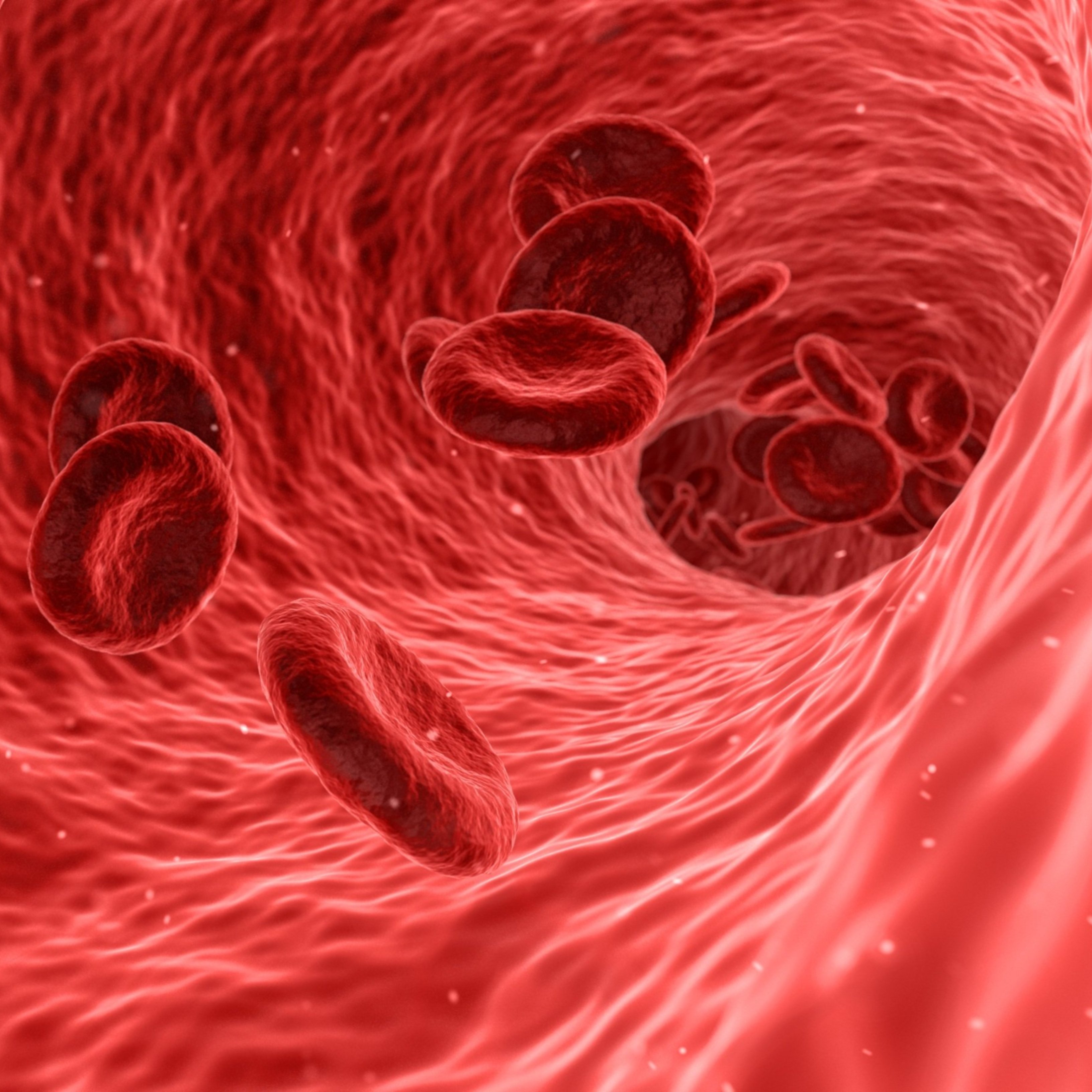 Descobreixen una nova manera de detectar els coàguls sanguinis
