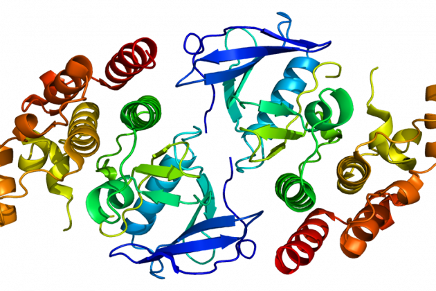 Proteína BRAF