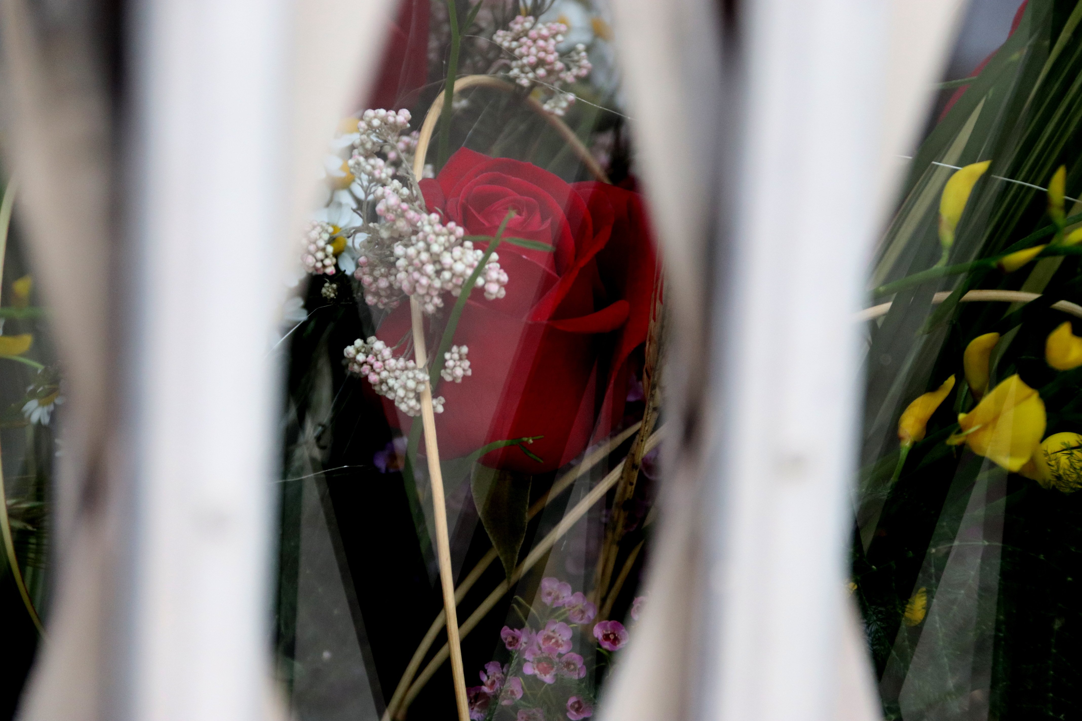 Com serà la celebració de Sant Jordi que es prepara pel 23 de juliol?