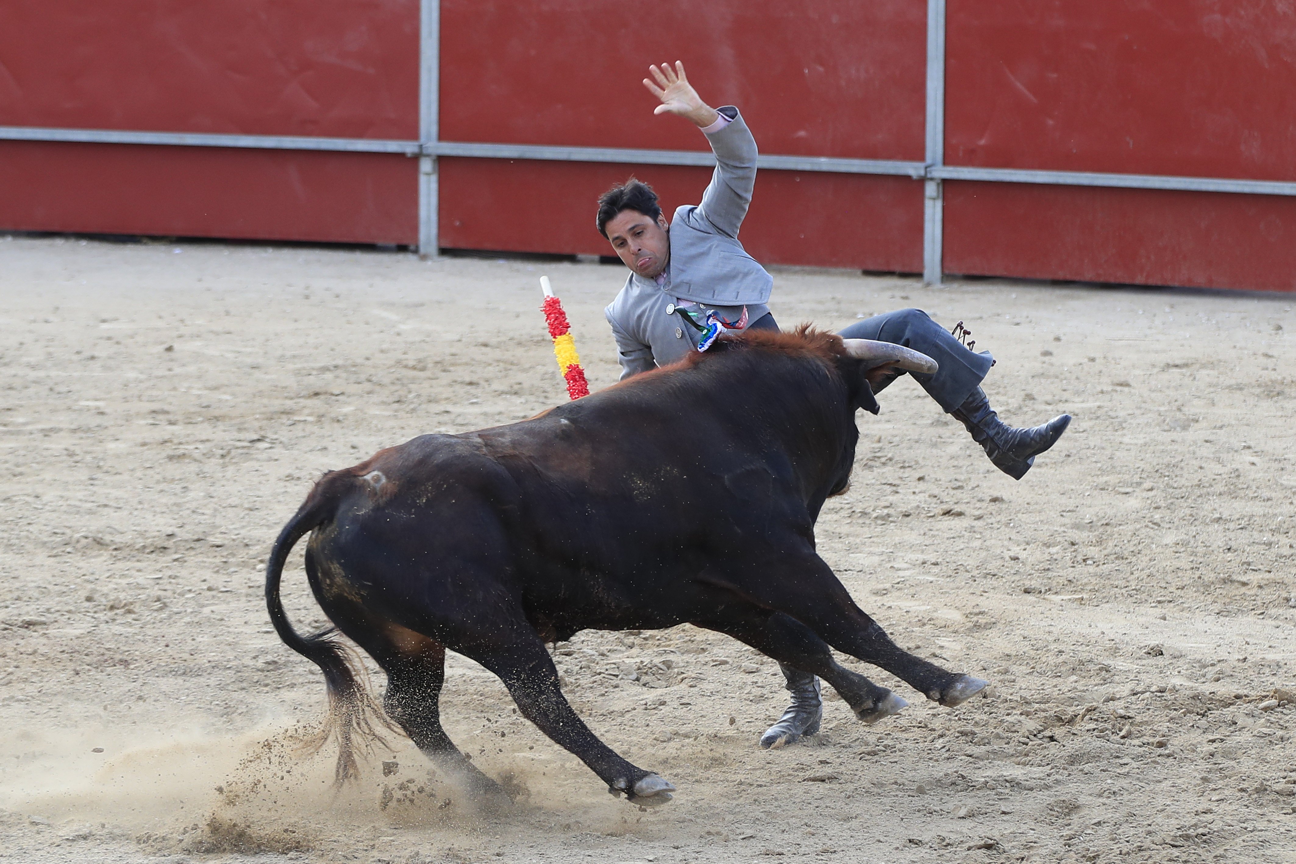 El Parlament Europeu rebutja subvencionar les corrides de toros