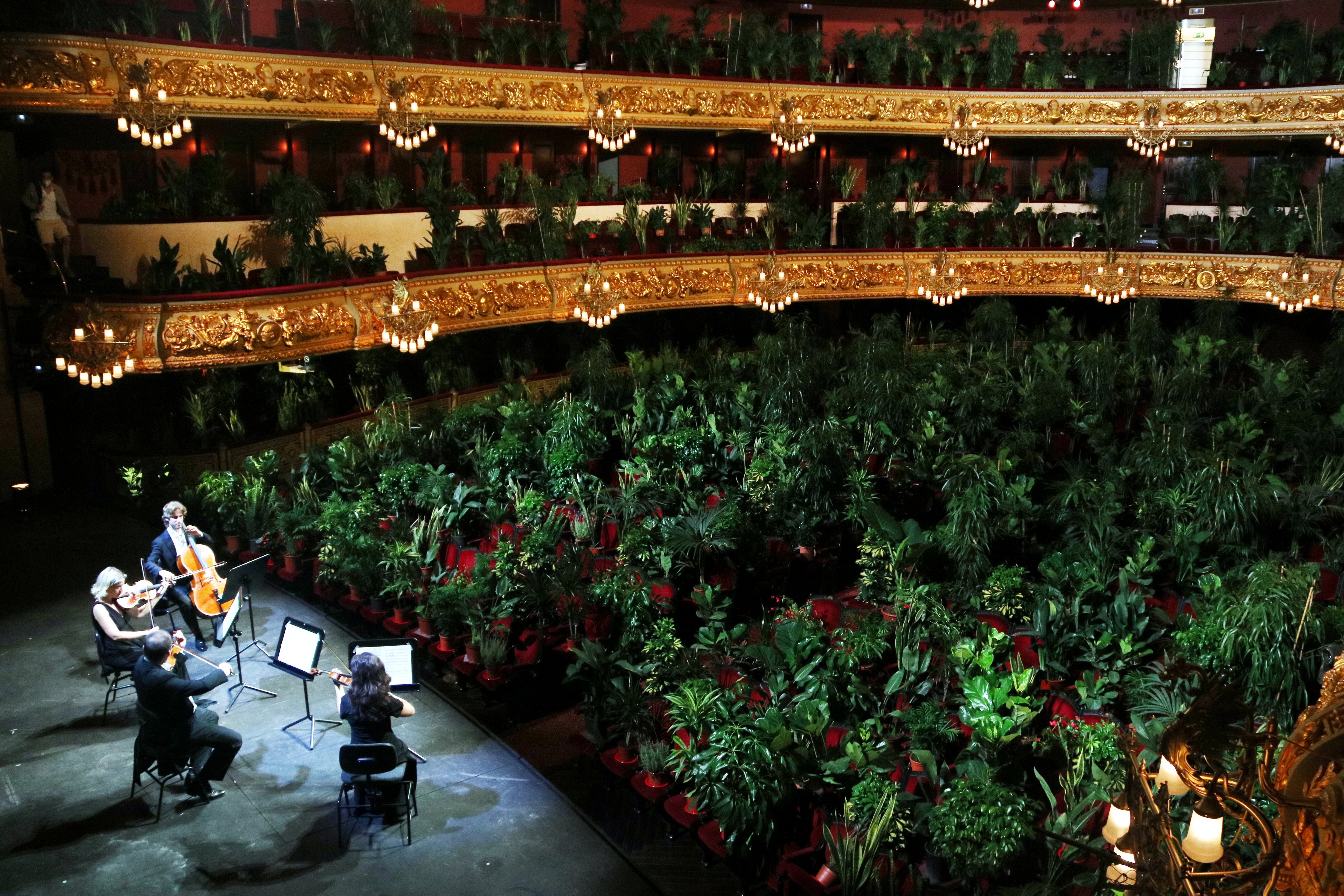Las plantas "colonizan" el Liceu en un insólito concierto de reapertura