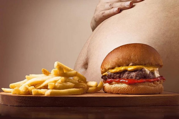 Fast food obesidad