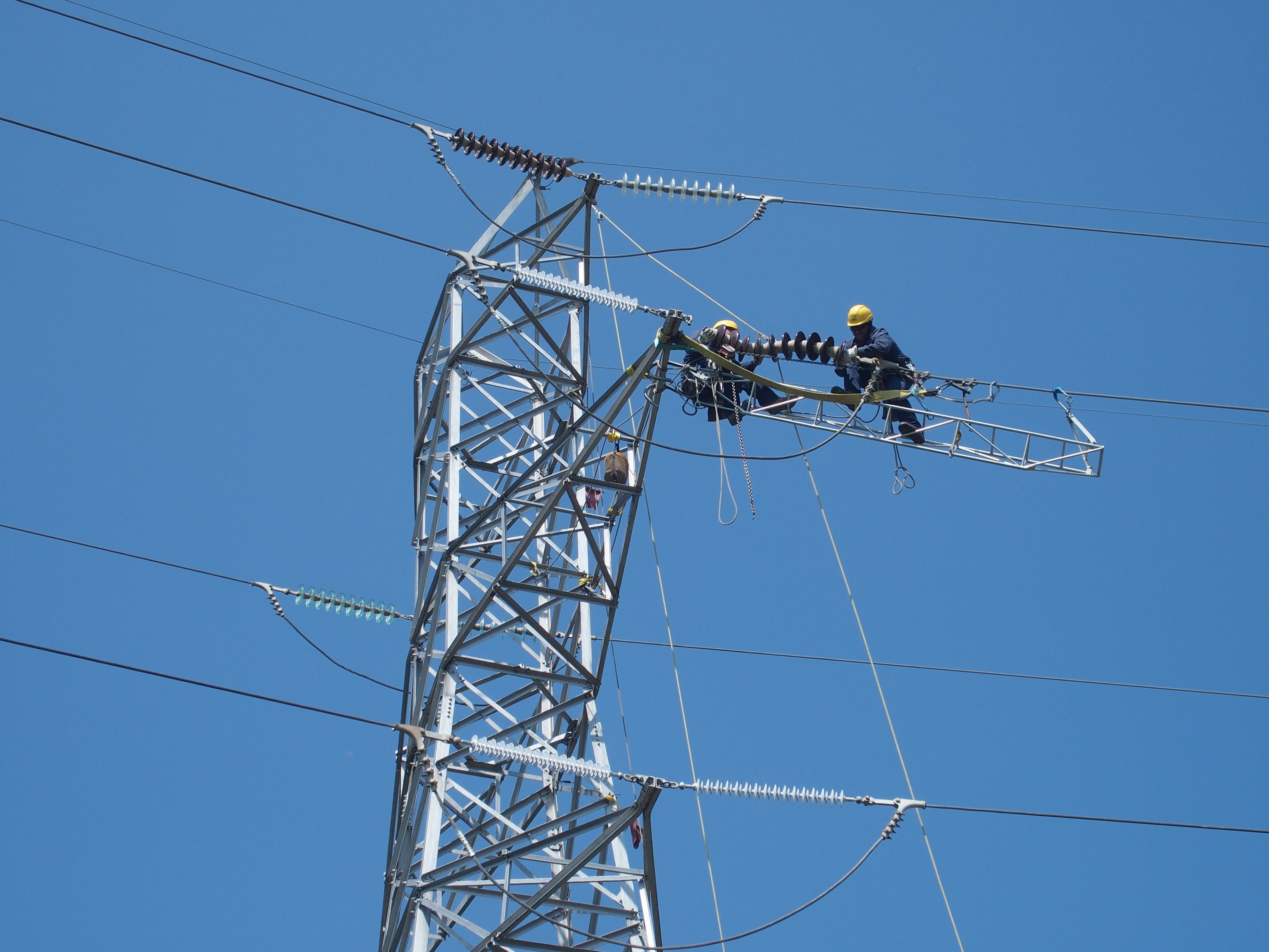 Una jueza de Vic ordena a Endesa que evite la electrocución de pájaros