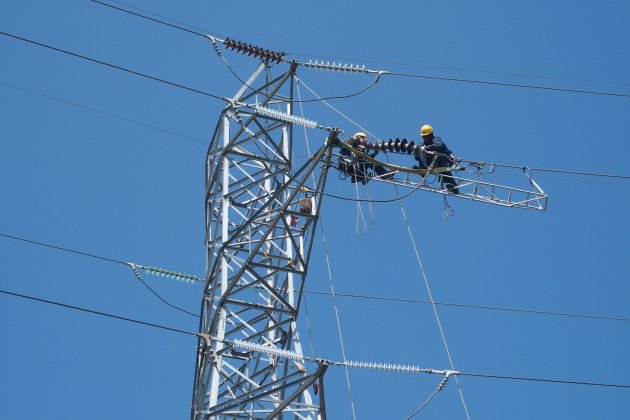 Operaris en una línia d'AT endesa