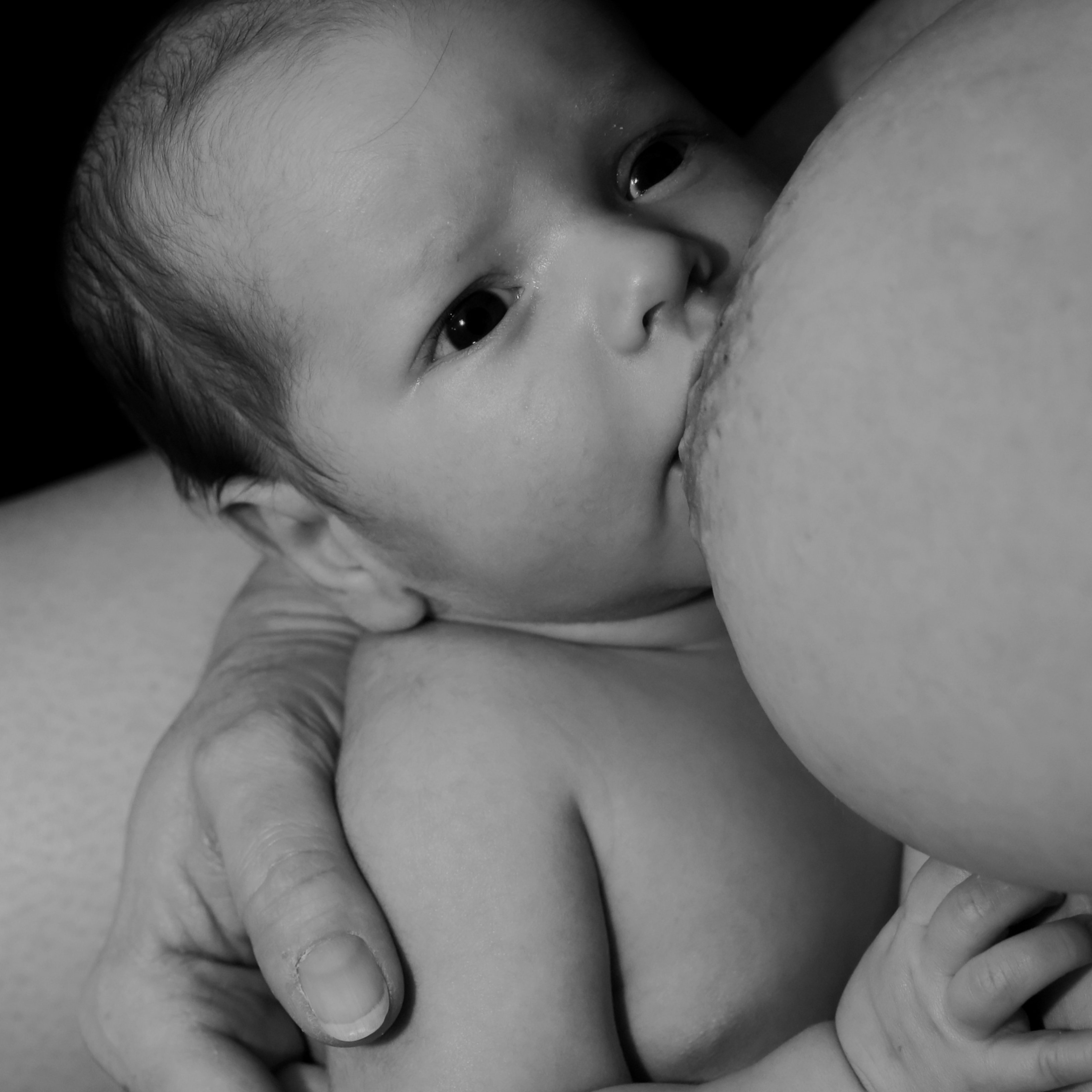 El ejercicio durante el embarazo beneficia la leche materna
