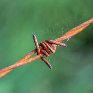 Tancat Barbed Wire (Analogicus) Tancat Barbed Wire (Analogicus)