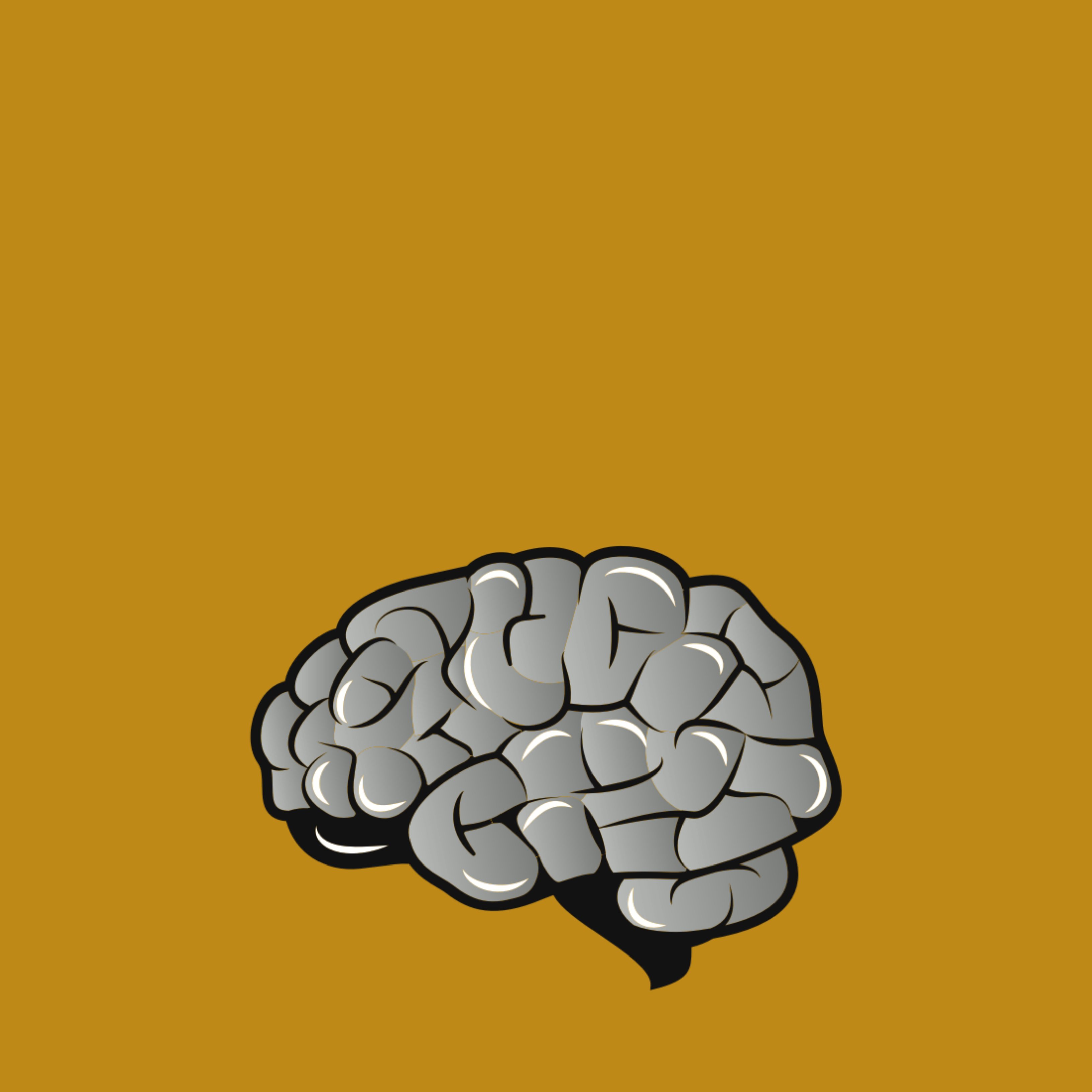 Per què el nostre cervell recorda més unes paraules que d'altres?