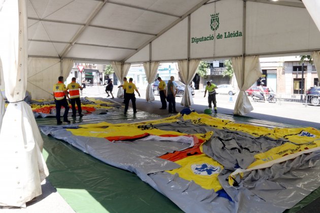 planta campaña lleida acn